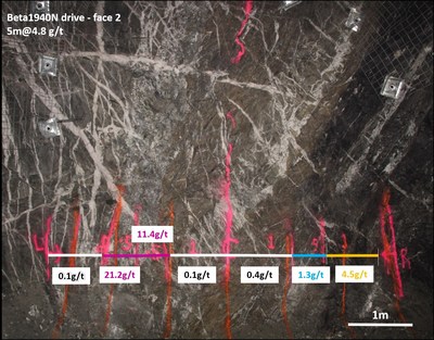 Figure 3: Exploratory Drive Along Larkin Zone – 1940N Drive, Face 2 showing individual face grade gold assays.  Mineralization hosted by shear and extensional veining associated with strong albite-biotite-pyrite alteration. (CNW Group/Karora Resources Inc.)