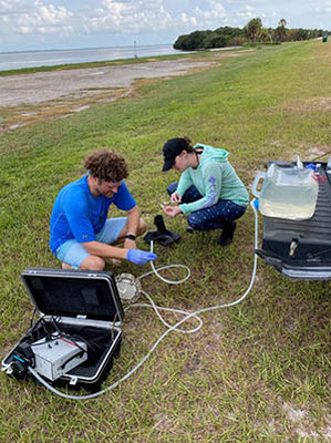 Marine Biology Research Grant To Fund Florida Southern College Study Of Environmental Impacts On Florida Stone Crabs