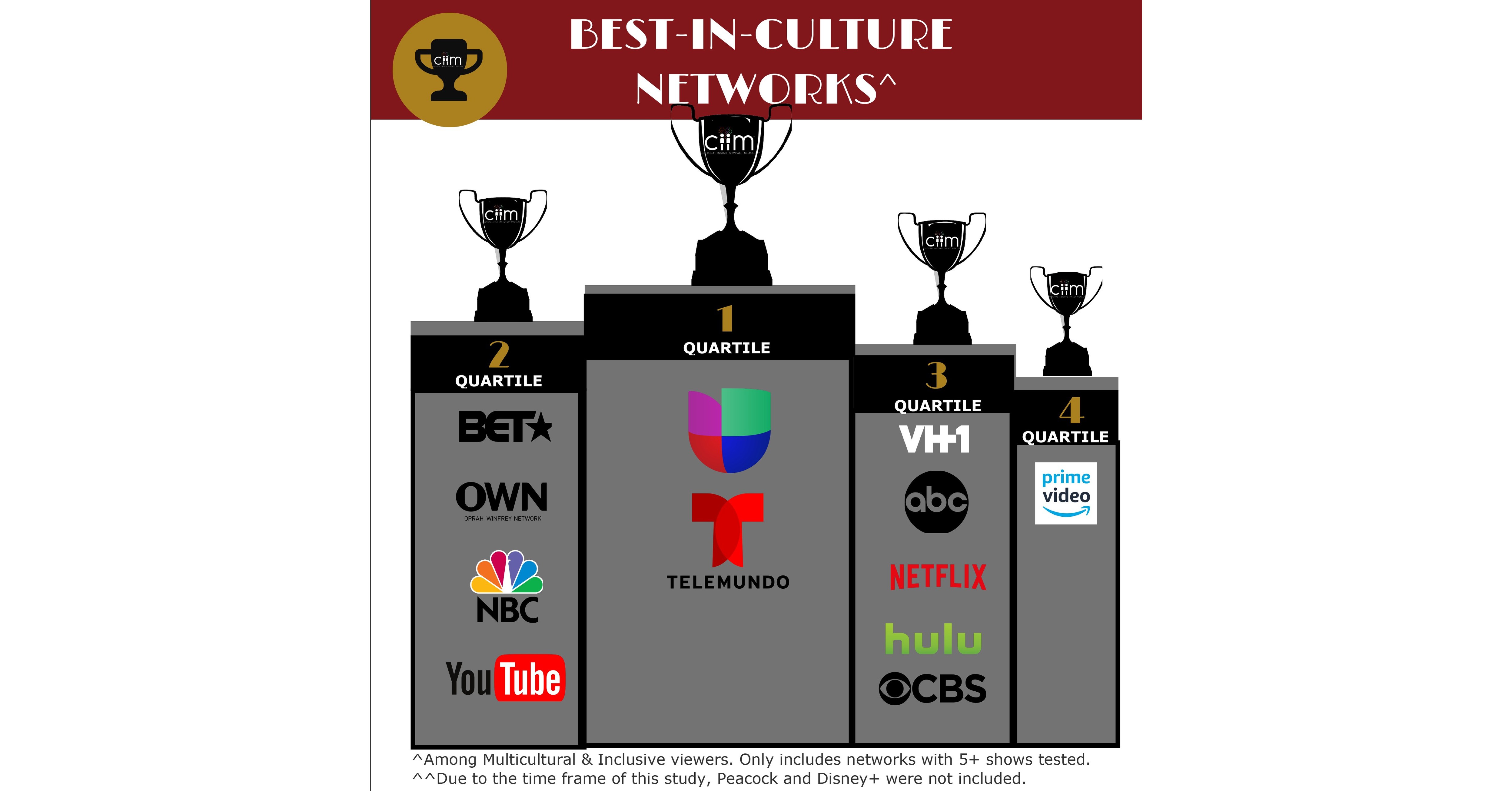 Majority of TV Programs Fail to Resonate with Diverse Audiences