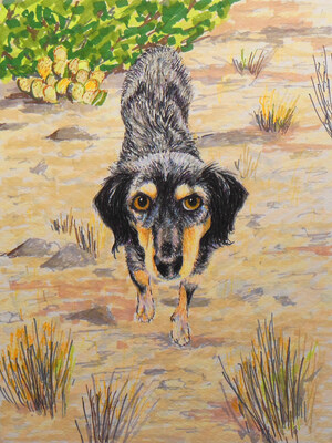 Joan M. Hellquist Warms Hearts With Tender Story of Lovable Shelter Dog Piki and Her Journey to Becoming a Service Dog