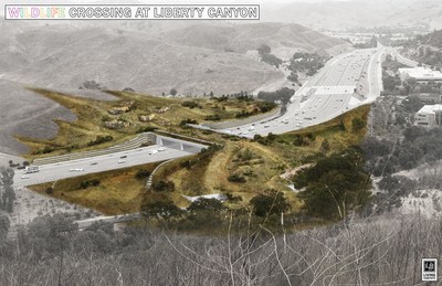 When completed, the wildlife crossing at Liberty Canyon in the Los Angeles area, will be the largest in the world and a global model for urban wildlife conservation.