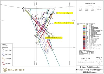 Figure 4: Section for hole NT21-182 showing significant mineralized intersections. (CNW Group/Trillium Gold Mines Inc.)