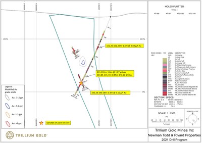 Figure 5: Section for hole NT21-183 showing significant mineralized intersections. (CNW Group/Trillium Gold Mines Inc.)