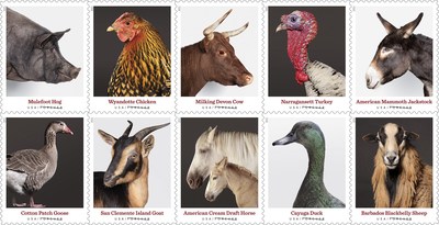 Heritage Breeds Stamps Moo-ving into Post Offices Nationwide