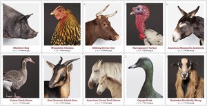 New Heritage Breeds Forever Stamps Honor Genetic Diversity in Farm Animals