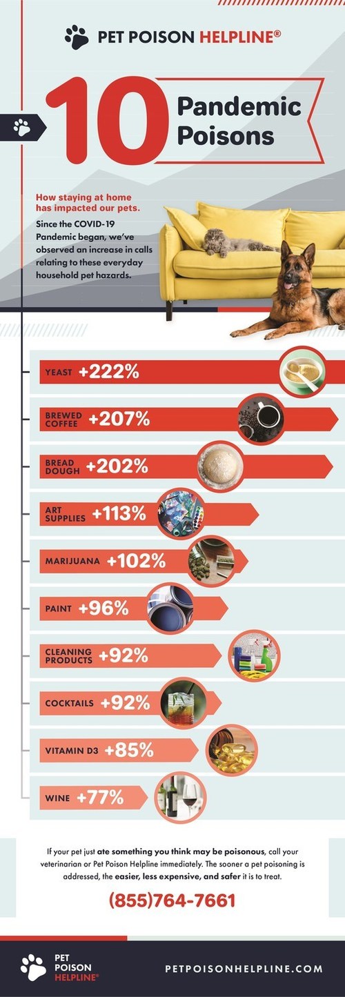 Top Ten Pet Poisoning Increases During Pandemic