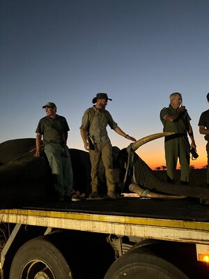 A Groundbreaking Wildlife Conservation Feat: The First - Ever Wild Elephant Translocation Within Mozambique, Africa