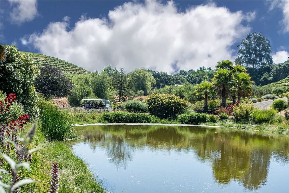 Five Reasons to Love California Wine Country This Summer - Vimarsana News