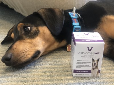 Visbiome vet for store dogs