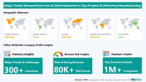 Company Insights for the Clay Product and Refractory Manufacturing Industry | Emerging Trends, Company Risk, and Key Executives