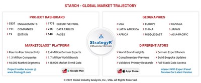 Global Starch Market