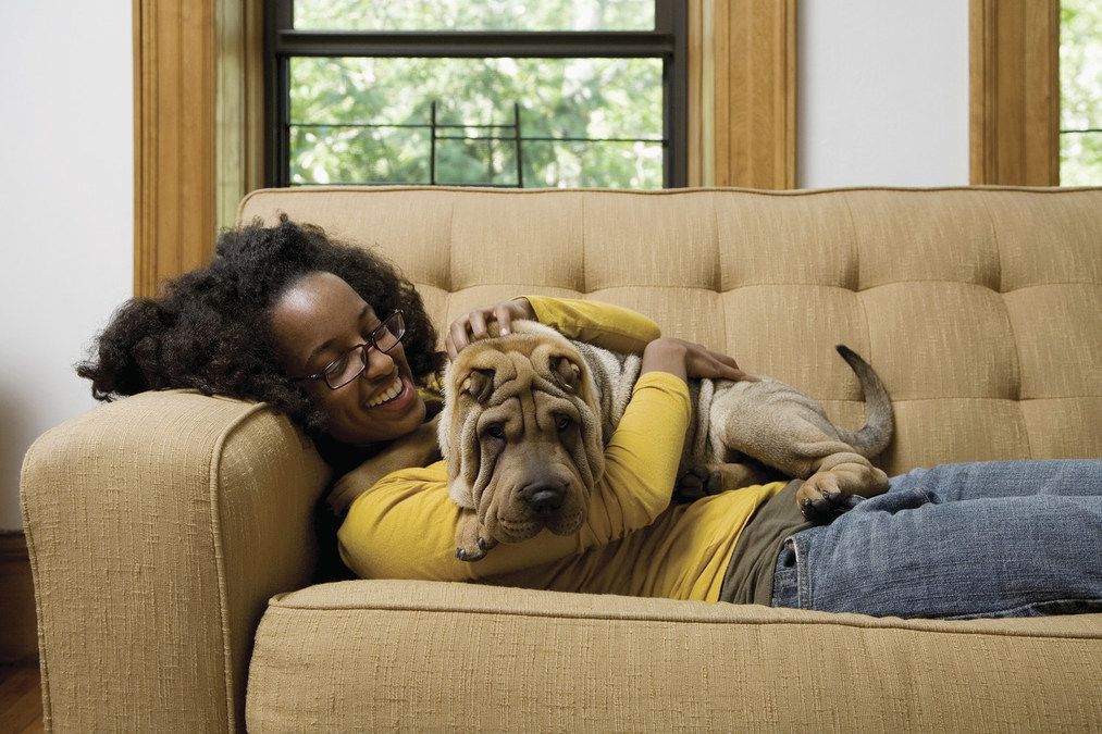 How to Help Manage Pet Separation Anxiety - Vimarsana News