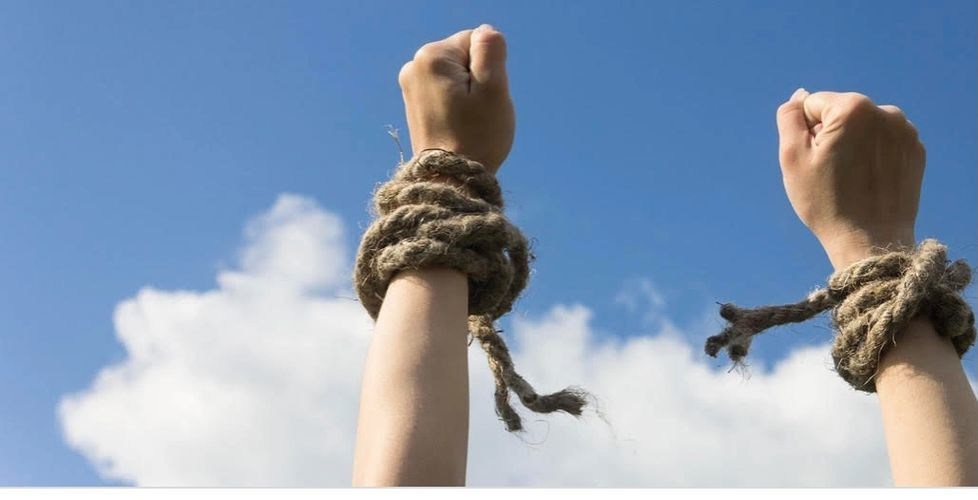 Borderflight Wants to Airdrop Lifesaving Items to Those Who Are Lost or Abandoned. Join Their Raffle for a 2021 Dodge Charger to Help Contribute to a Worthy Cause - Vimarsana News