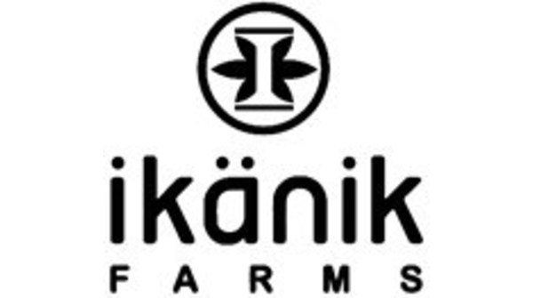 Ikänik Farms Provides Update on Timing for Filing Outstanding Audited Financial Statements - Vimarsana News