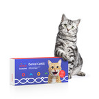 The Creators Behind the First Direct-to-Consumer DNA Test for Cats Reveal Newest Product: The Basepaws Cat Dental Health Test