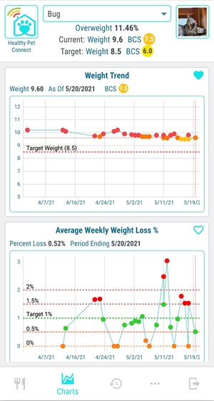 Healthy Pet Connect leverages home health technology to prevent pet disease