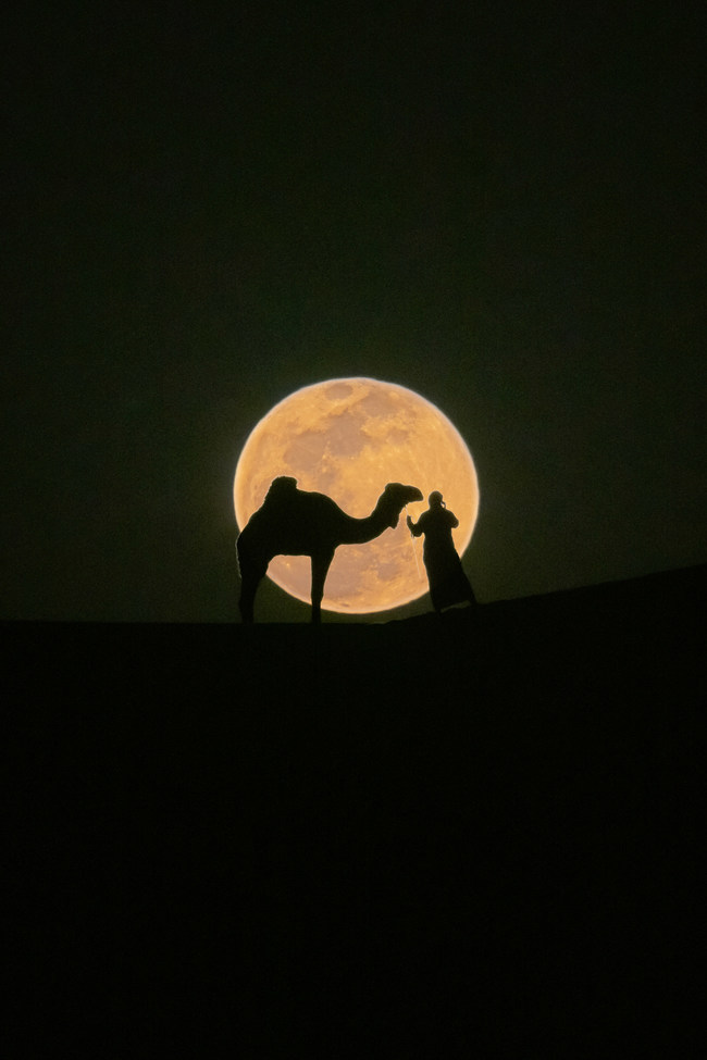 Qatar National Tourism Council