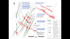 Group Eleven Intersects 1.4 metres of 14.8% ZnEq and Drills Vein-Type Mineralization Over 100m Strike-Length at Zone 2 of the Carrickittle Zinc Prospect, Ireland