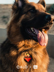 QALO and Tile partner to create QALO TraQ, a line of Bluetooth-enabled trackable dog ID tags