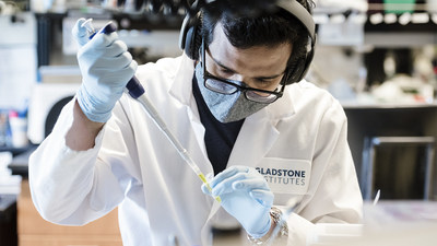 A new study by researchers at Gladstone Institutes and UC San Francisco provides a comprehensive portrait of the California variant of COVID-19. Shown here: Mir Khalid, graduate student working in Melanie Ott’s lab at Gladstone. Photo: Michael Short/Gladstone Institutes