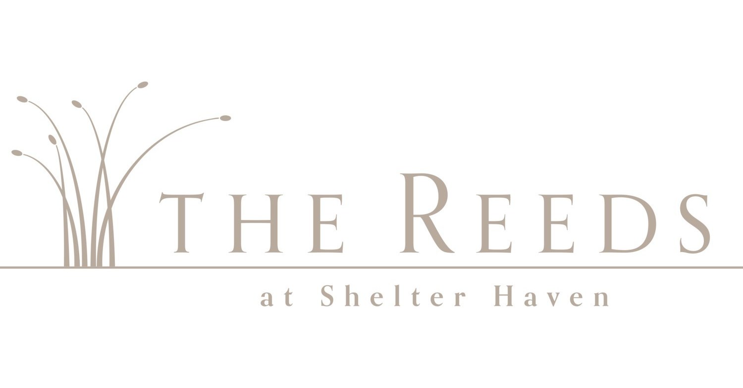 Introducing the Anthropologie Pop-Up at The Reeds at Shelter Haven