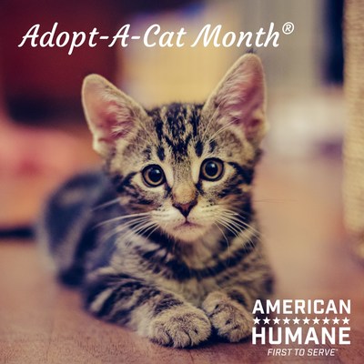 Celebrate Adopt-A-Cat Month®