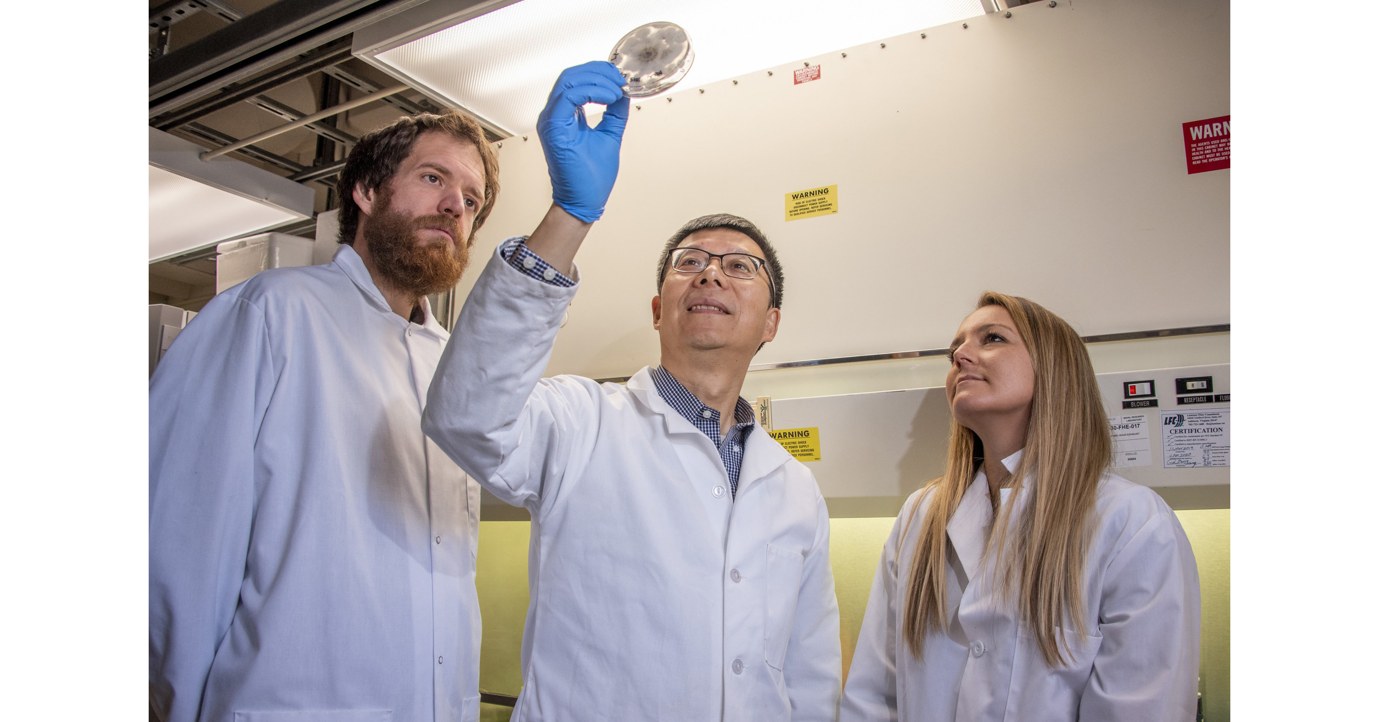 Researchers prepare to send fungi for a ride around the moon