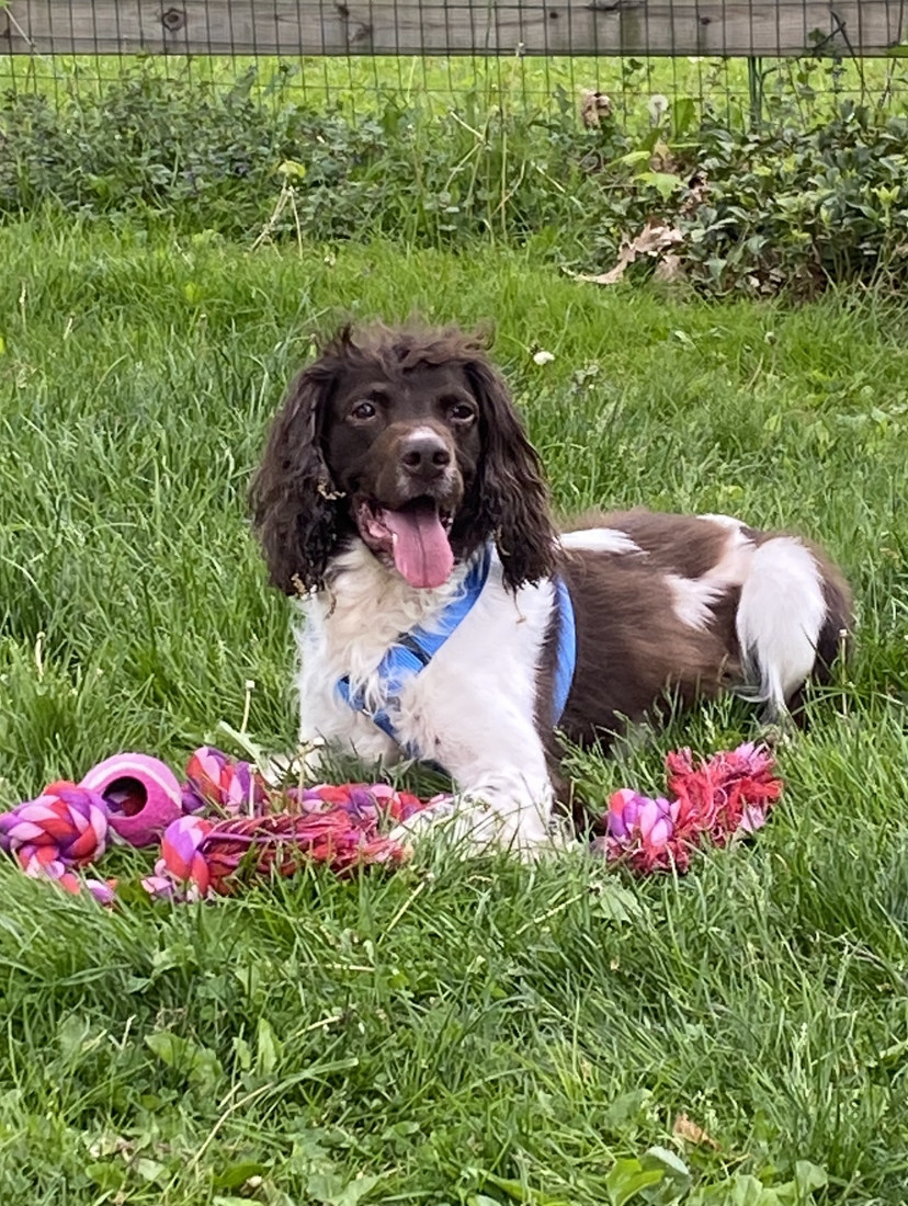 Unable to view the image, Please provide a valid URL.