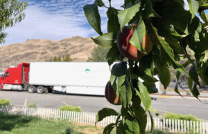 My Fruit Truck Sets for 2021 Tour