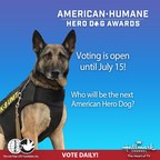 21 Courageous Canines Chosen to Compete for Honor of Becoming America's Top Dog