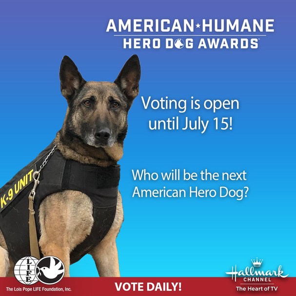 21 Courageous Canines Chosen to Compete for Honor of Becoming America's Top Dog - Vimarsana News