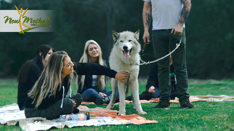 Wolf Therapy at New Method Wellness