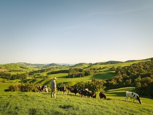 Beef + Lamb New Zealand Sees Growing U.S. Appetite for Grass-fed and Sustainably Raised Meat