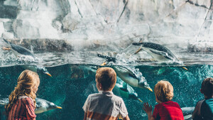 Mountain America Credit Union Announces Expanded Partnership with Loveland Living Planet Aquarium, Providing Credit Union Exclusivity