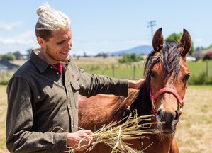 Wavelengths Recovery Set to Launch Equine Therapy Program This Summer