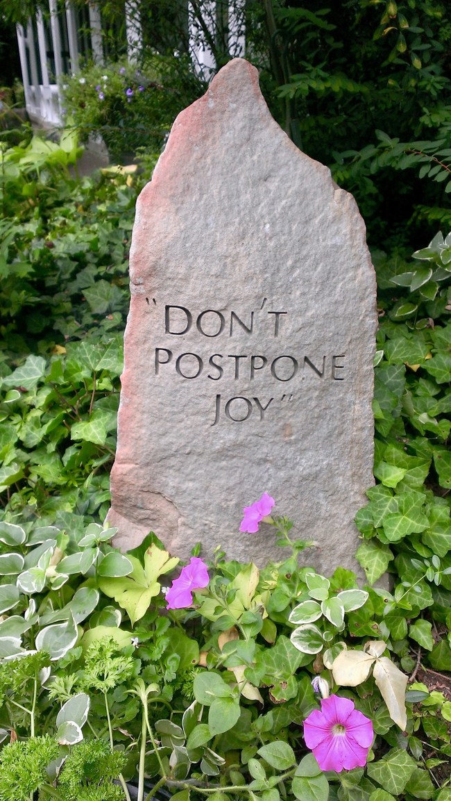 Don't Postpone Joy