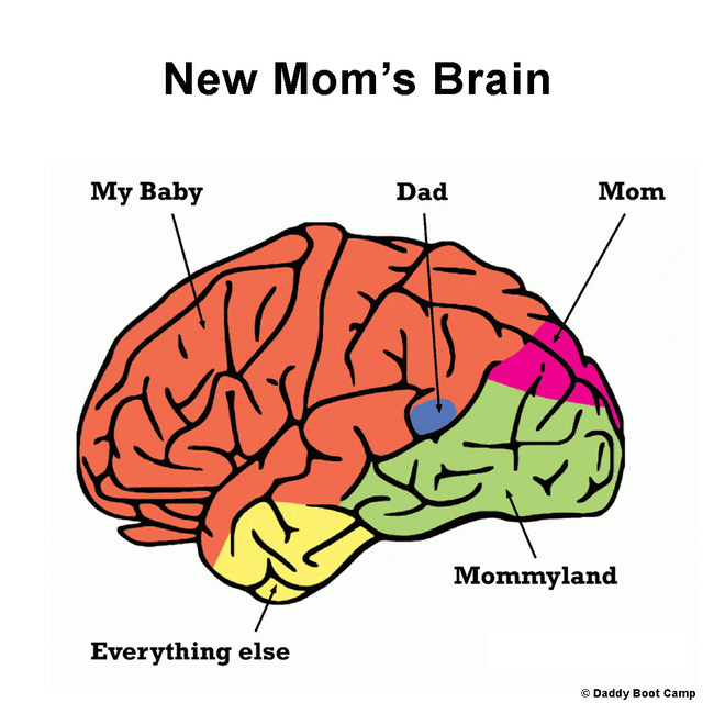 New Mom's Brain