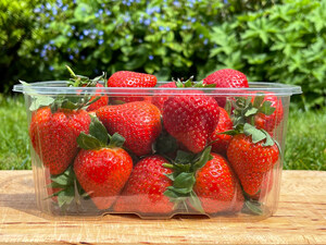 Waddington Europe and Produce Packaging Start the Switch to 100% rPET Containers for the Soft Fruit Season