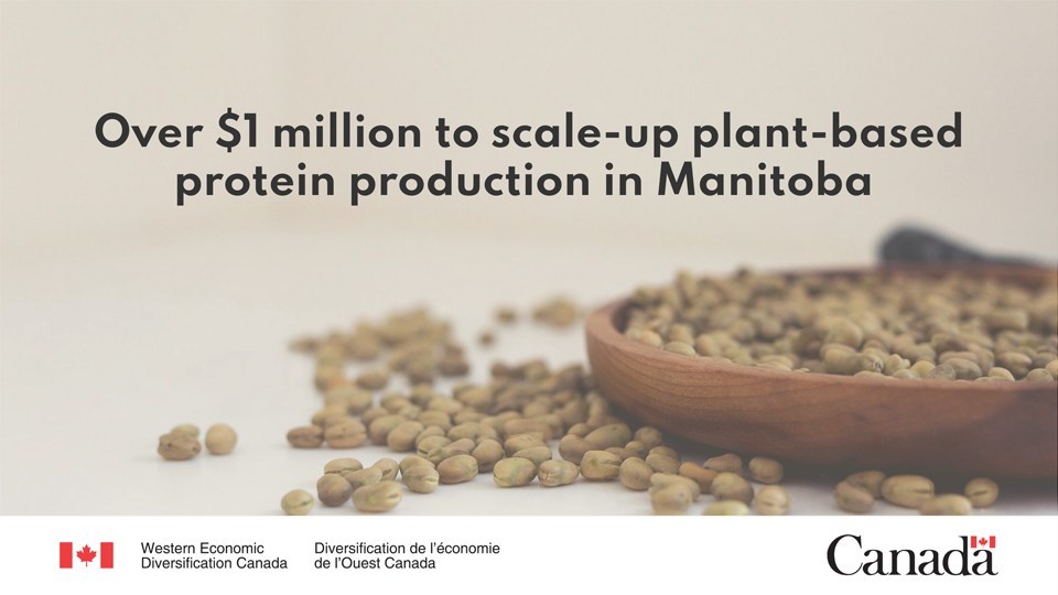 Government of Canada supports agri-food innovation in rural Manitoba with investment in Prairie Fava - Vimarsana News