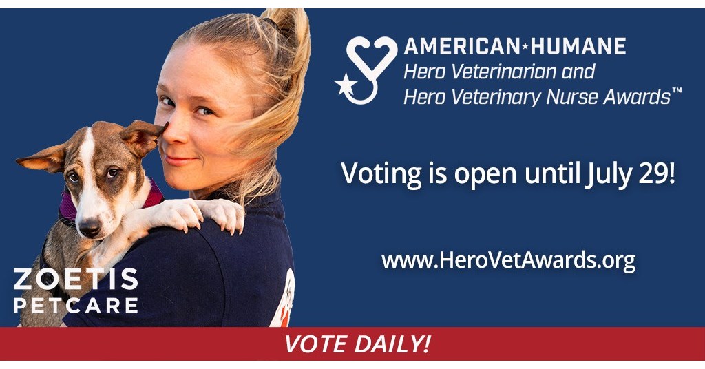 America’s Prime Veterinary Heroes Revealed; Now, Select Your Favorites