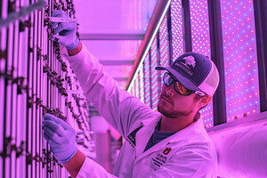 Auburn University College of Agriculture using high-tech shipping containers to grow produce for Campus Dining