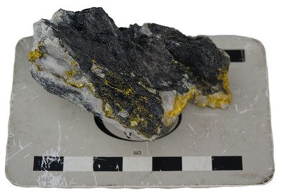 Figure 1 - Sample of in-situ bonanza bedrock gold - quartz vein in phyllite. (CNW Group/Garibaldi Resources Corp.)
