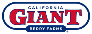 California Giant Berry Farms Partners With OnePointOne to Boost Berry Innovation