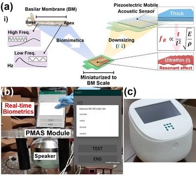 (a) Schematic illustration of the basilar membrane-inspired flexible piezoelectric mobile acoustic sensor (b) Real-time voice biometrics based on machine learning algorithms (c) The world’s first commercial production of a mobile-sized acoustic sensor