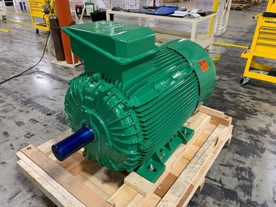 Maxeff Induction Motor