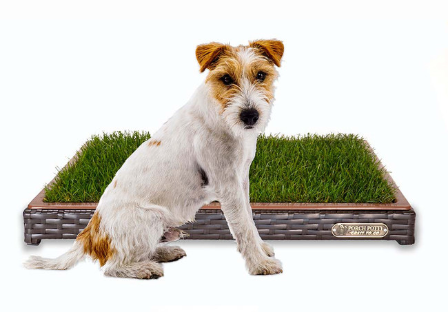 Porch Potty's new Grass to Go brings fresh sod to porches, balconies and on vacations