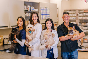 Alii Animal Kailua Grand Opening June 15, 2021