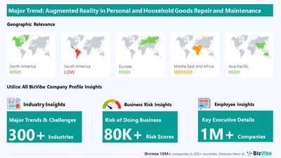 Snapshot of key trend impacting BizVibe's personal and household goods repair and maintenance industry group.