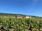 Evenstad Estates Announces Landmark Burgundy Vineyard Expansion