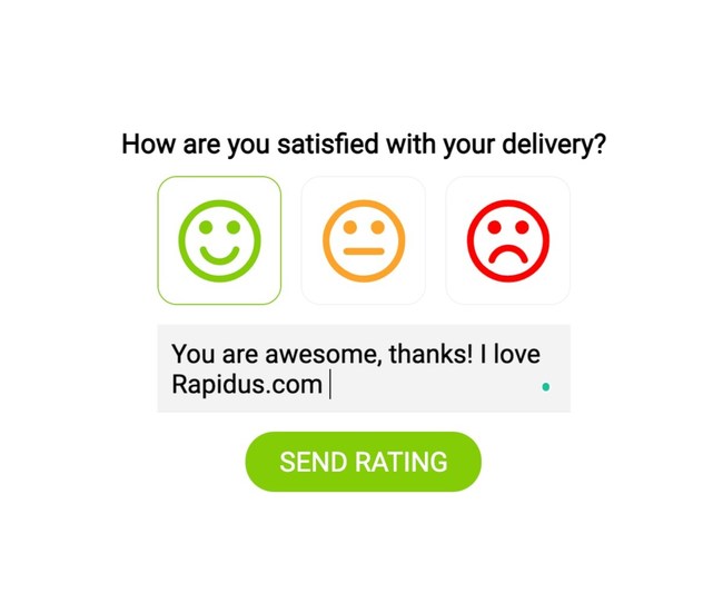 Rapidus Courier Delivery Customer Satisfaction Report